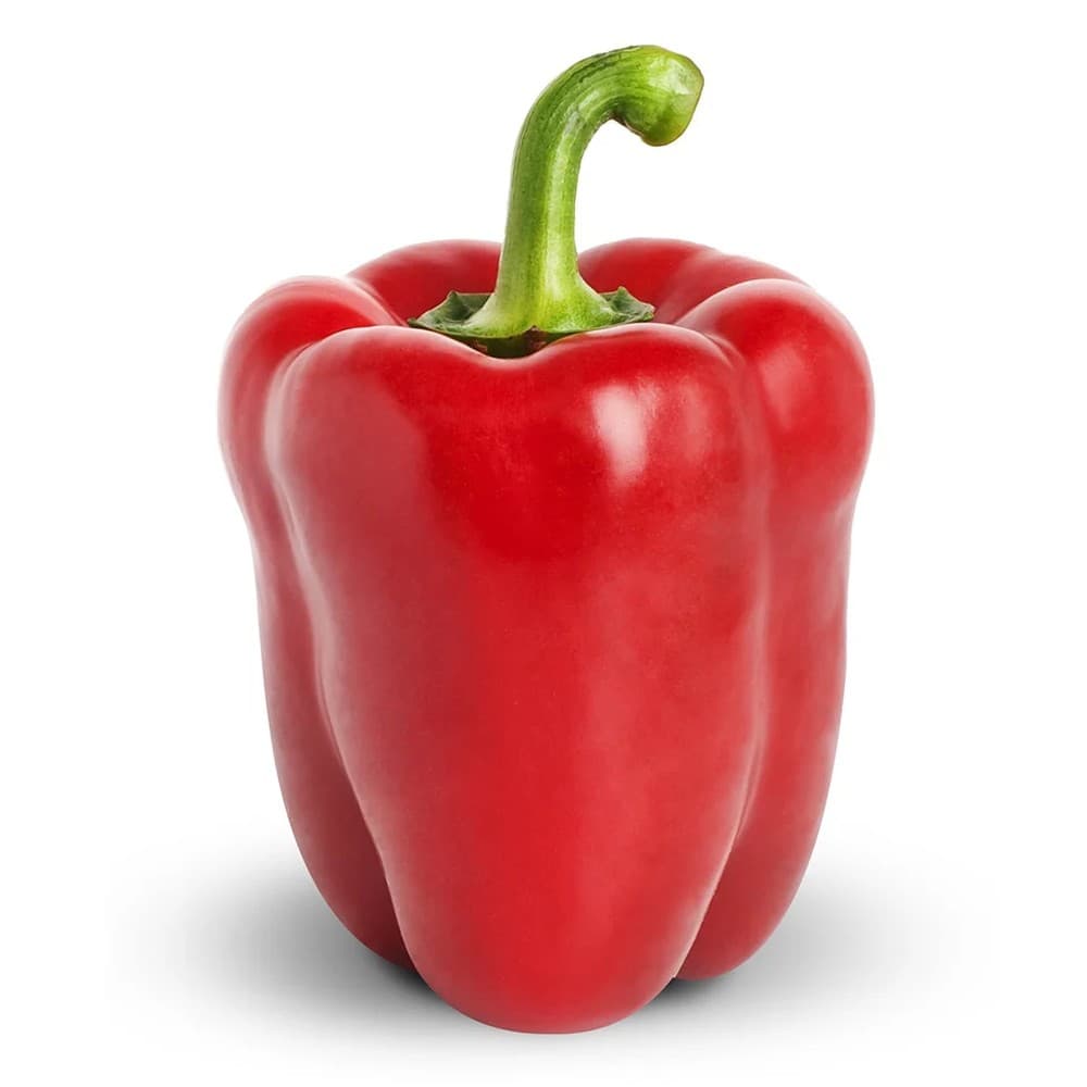 Red Capsicum