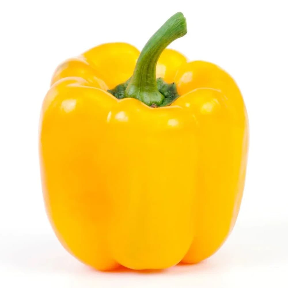 Yellow Capsicum