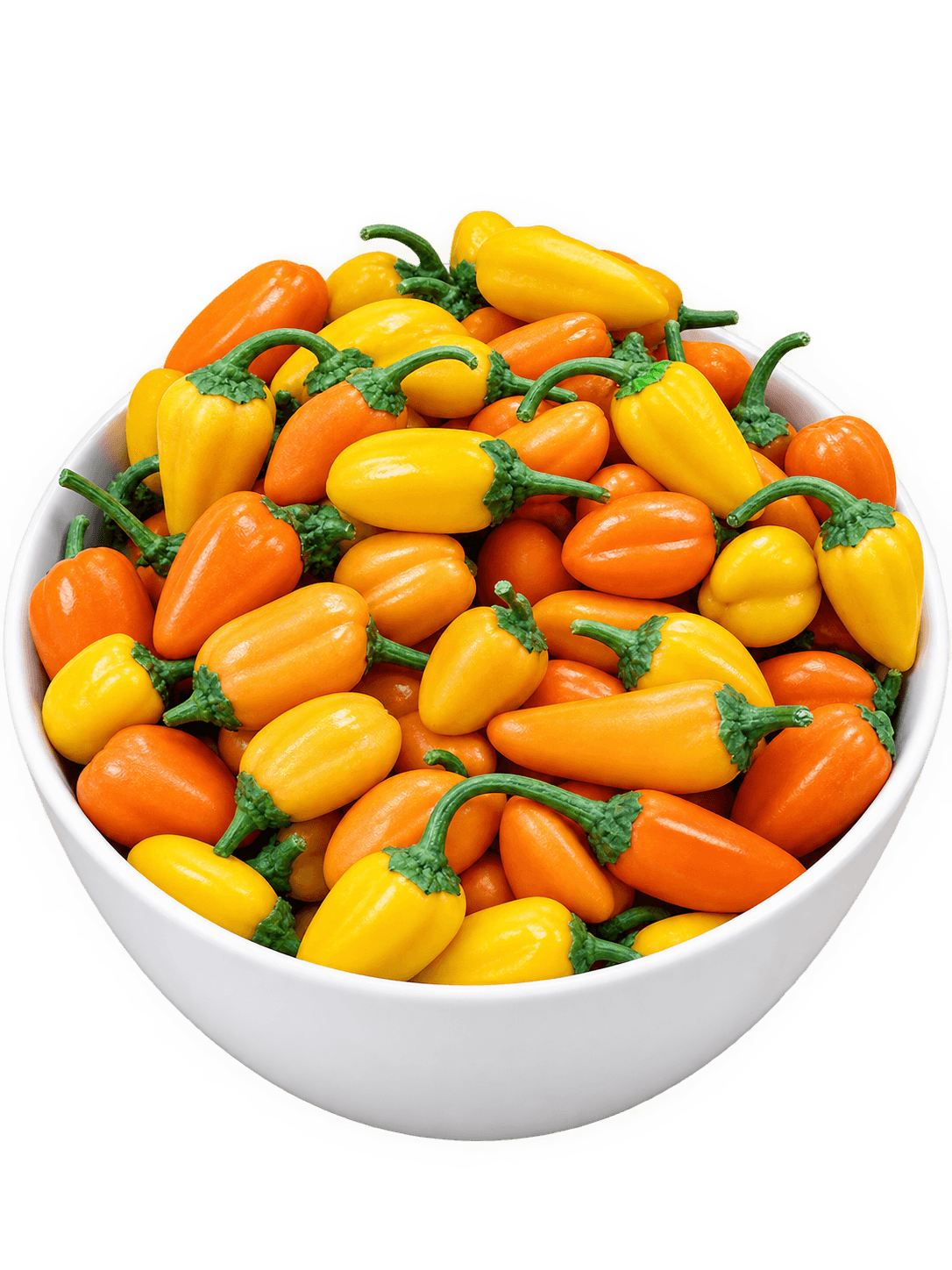 Mini Capsicum