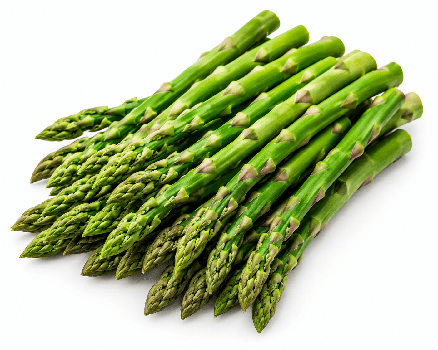 A bundle of uniformly graded asparagus spears