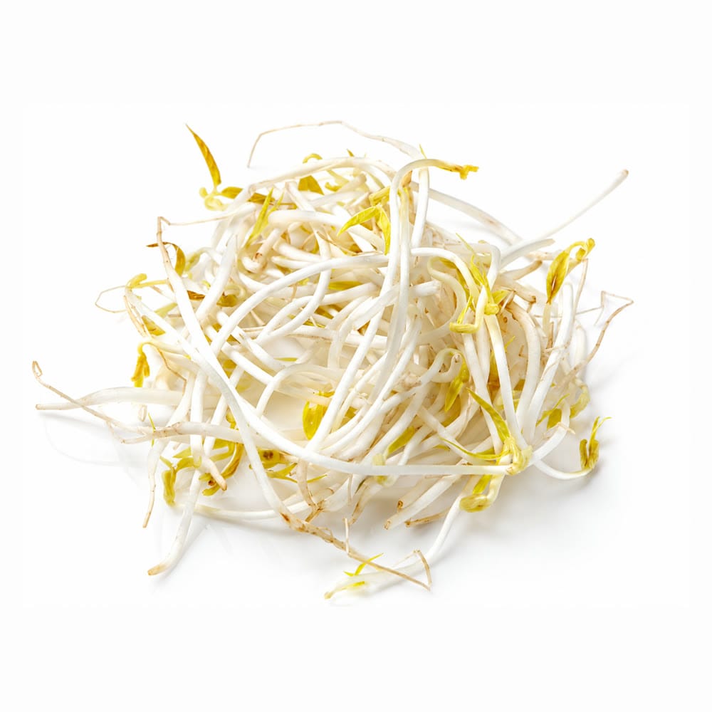 Bean Sprouts