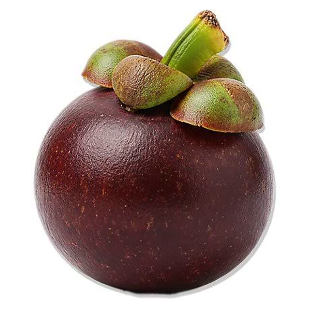 Mangosteen